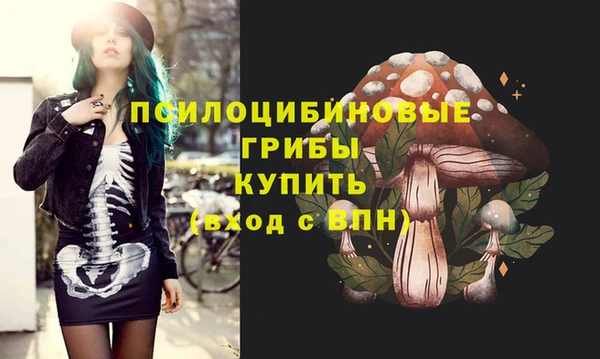 PSILOCYBIN Белокуриха